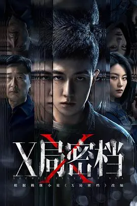 《X局密档》：真相迷雾，危机四伏！揭秘不为人知的惊天阴谋