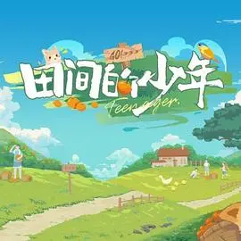 《田间的少年》：一部关于成长、梦想与土地的诗意电影，治愈你的心灵！