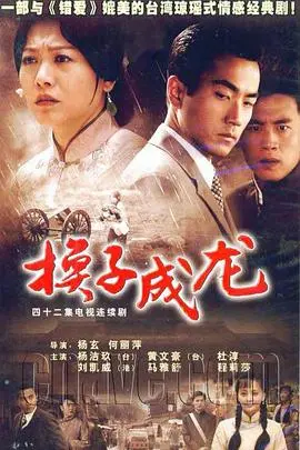 《换子成龙》：命运交织的爱恨情仇，豪门恩怨背后的真相与救赎！